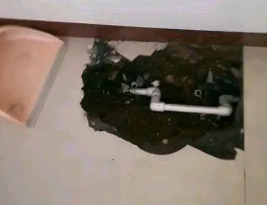 抚宁卫生间测漏水多少钱